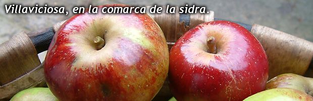 Cesta con manzanas rojas